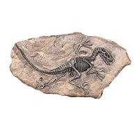 VOANZO - Statua in resina a forma di dinosauro fossile, modello di scheletro simulato per casa e ufficio, decorazione artigianale
