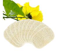 Voarge 10 spugne Luffa Naturale, 8 x 13 cm, spugna Luffa, portasapone, accessorio per doccia, bagno, cucina, piano di lavoro, beige