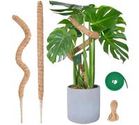 Voarge Monstera - Set di 2 supporti per rampicanti, 60 cm, flessibile, per Monstera, per piante rampicanti, asta per piante rampicanti, con anima in alluminio