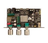 Vocdikficy Scheda Amplificatore Audio Bluetooth TPA3116D2 100W Mono con Regolazione Boost Hi- Fai-da-Te