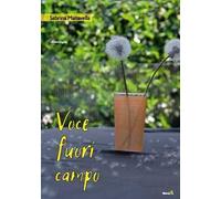 Voce fuori campo