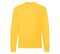 Voce principale: Fruit of the Loom Mi piace molto.