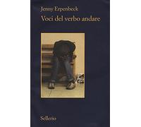 Voci del verbo andare