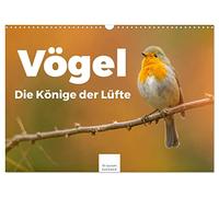 Vögel - Die Könige der Lüfte (Wandkalender 2026 DIN A3 quer), CALVENDO Monatskalender: Entdecken Sie die Welt der Vögel.