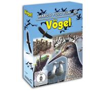 Vögel : Die seltensten Vögel Neuseelands - Zugvögel - Das Leben der Möwen