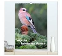 Vögel im heimischen Garten (hochwertiger Premium Wandkalender 2026 DIN A2 hoch), Kunstdruck in Hochglanz: Wunderschöne Aufnahmen, die die Pracht, ... - eine Freude für jeden Vogelliebhaber.