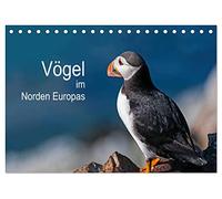 Vögel im Norden Europas (Tischkalender 2026 DIN A5 quer), CALVENDO Monatskalender: Beeindruckende Bilder über die faszinierende Vogelwelt in Skandinavien