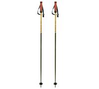 Volkl Phantastick 16 Mm Poles Verde 125 cm Uomo,Donna