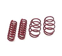 Vogtland 954008 abbassamento molle