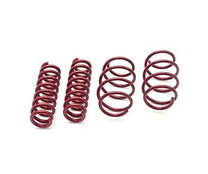 Vogtland 954008 abbassamento molle