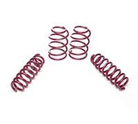 Vogtland Molle Sportive per BMW 1 E81/E87 116i-135i, 116d-123d Anno Fab.