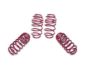 Vogtland Springs per VW Passat 3B 3BG Berlina 1.6 1.8 T 2.0 Senza Diesel