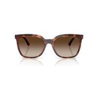 Vogue Vo 5633sb Occhiali Da Sole Donna Avana Cat-eye Marrone 56mm