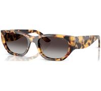 Vogue VO5586S C53 26058G