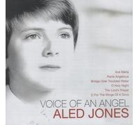 Voice of An Angel
