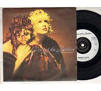 VOICE OF THE BEEHIVE - VOICE OF THE BEEHIVE - PERFECT PLACE - 7" VINYL