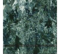 Voices from the Lake - Voices from the Lake