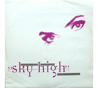 Voices Present - Sky High [12" VINYL]