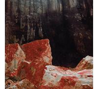 Void Paradigm Ultime Pulsation Demain Brûle (CD) Album