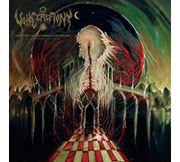 Voidceremony - Entropic Reflections Continuum: Dimensio