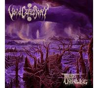 VoidCeremony Threads of Unknowing (Vinyl LP) 12" Album