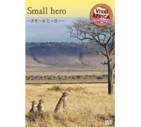 ビバ!アフリカ VOL-4 「スモール ヒーロー」 [DVD]