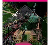 Vol. 5-Board Up the House Remixes (Vinyl LP)