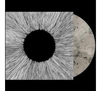 VOLA - Witness
