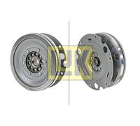 Volano a doppia massa LUK 415 0625 09