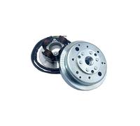 Volano Completo VMC Cono 20, 1,4 kg per Accensione VMC adatto per Vespa SmallFrame