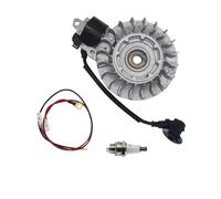 Volano e bobina di accensione adatti for 066 MS650 MS660 11224001217 11224001314(Flywheel Ignition)