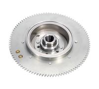 Volano elettrico 61T compatibile con motore per barche a 2 tempi 25HP 30HP 61N 69P Sostituisce 61N-85550-00 61N-85550-10 61N-85550