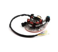 Volano Magnete Statore Di Accensione Moto Con Luce Per YINXIANG YX 140cc 1P56FMJ W063 Motore BSE SSR Bobina Magnetica Accensione