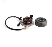 Volano Magnete Statore Di Accensione Moto Con Luce Per YINXIANG YX 140cc 1P56FMJ W063 Motore BSE SSR Bobina Magnetica Accensione