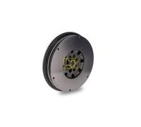 Volano Schaeffler Luk 415 0152 10 Luk Dmf per Chrysler