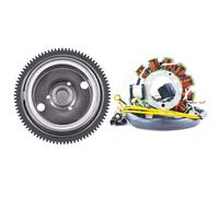 Volano + Statore Per Polaris Magnum Sportsman Xplorer Worker 335-500 1995-2002