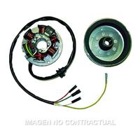 Spedizione Gratuita Volante Magnetico 6 Poli 12V 100W Ducati MPN EUR0410120001