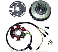 Volante Magnetico 6 Poli 12v 85w (Motore Derbi-Piaggio 6 Marce Con Avvio