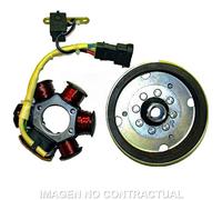 Volano Completo SGR 6 Poli 90W - Ø 116,8 - Rotazione DX - Cono 16 - 168581