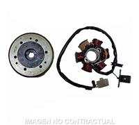 Volante Magnetico 6 Poli Moto Motore Ricambi Ciclomotore Accessori