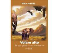 Volare alto. Un sogno africano vissuto a rischio della vita