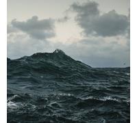 Volcano Choir( Bon Iver+ Collection Of Colonies Bees) - Repave