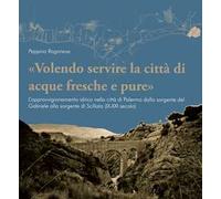 «Volendo servire la città di acque fresche e pure». L'approvvigionamento idrico nella città di Palermo dalla sorgente del Gabriele alla sorgente di Scillato (IX-XXI secolo)