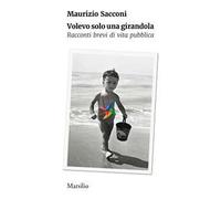 Volevo solo una girandola. Racconti brevi di vita pubblica