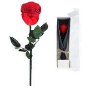 Volhuluk Rosa Eterna Stabilizzata, Rosso Rosa Naturale Conservata, Fiore Reale con Stelo, Rosa Stabilizzata Vera per San Valentino, Compleanno, Festa Mamma, Anniversario, Matrimonio