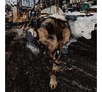 Joe Volk & Naiare Primitive Energetics (CD) Album