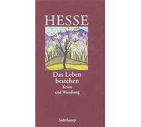 Volker Michels Hermann H Das Leben bestehen. Krisis und Wand (Copertina rigida)