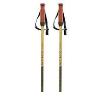 Volkl Phantastick 16 Mm Poles Verde 125 cm Uomo,Donna