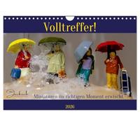Volltreffer! (Wandkalender 2026 DIN A4 quer), CALVENDO Monatskalender: Miniaturen erobern die Welt - durch die Größenunterschiede ergeben sich interessante neue Sichtweisen.