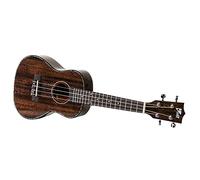 VOLT - Ukulele Siena, dimensioni: Concerto, copertina in mogano, tastiera: palissandro, finitura lucida, ornamenti in madreperla, lunghezza: ca. 610 mm, con bottoni per cintura, custodia imbottita